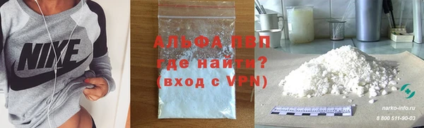 прущие грибы Магас