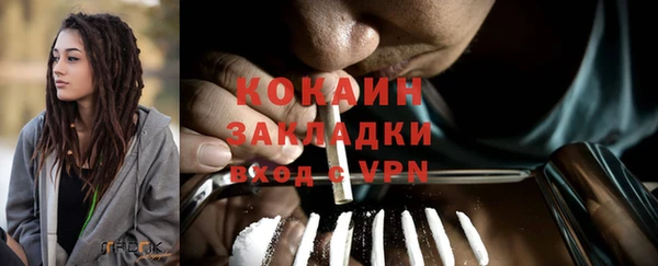 прущие грибы Магас