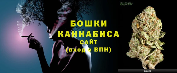 прущие грибы Магас