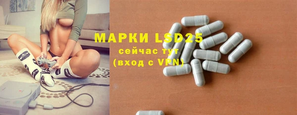 прущие грибы Майский