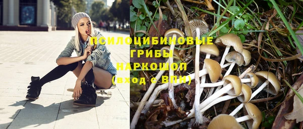 молекула духа Медногорск