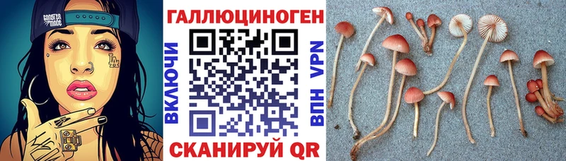 Псилоцибиновые грибы ЛСД  Купить  Мценск 